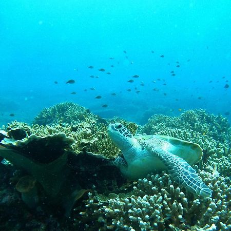4 Sisters Divers Бунакен Екстер'єр фото