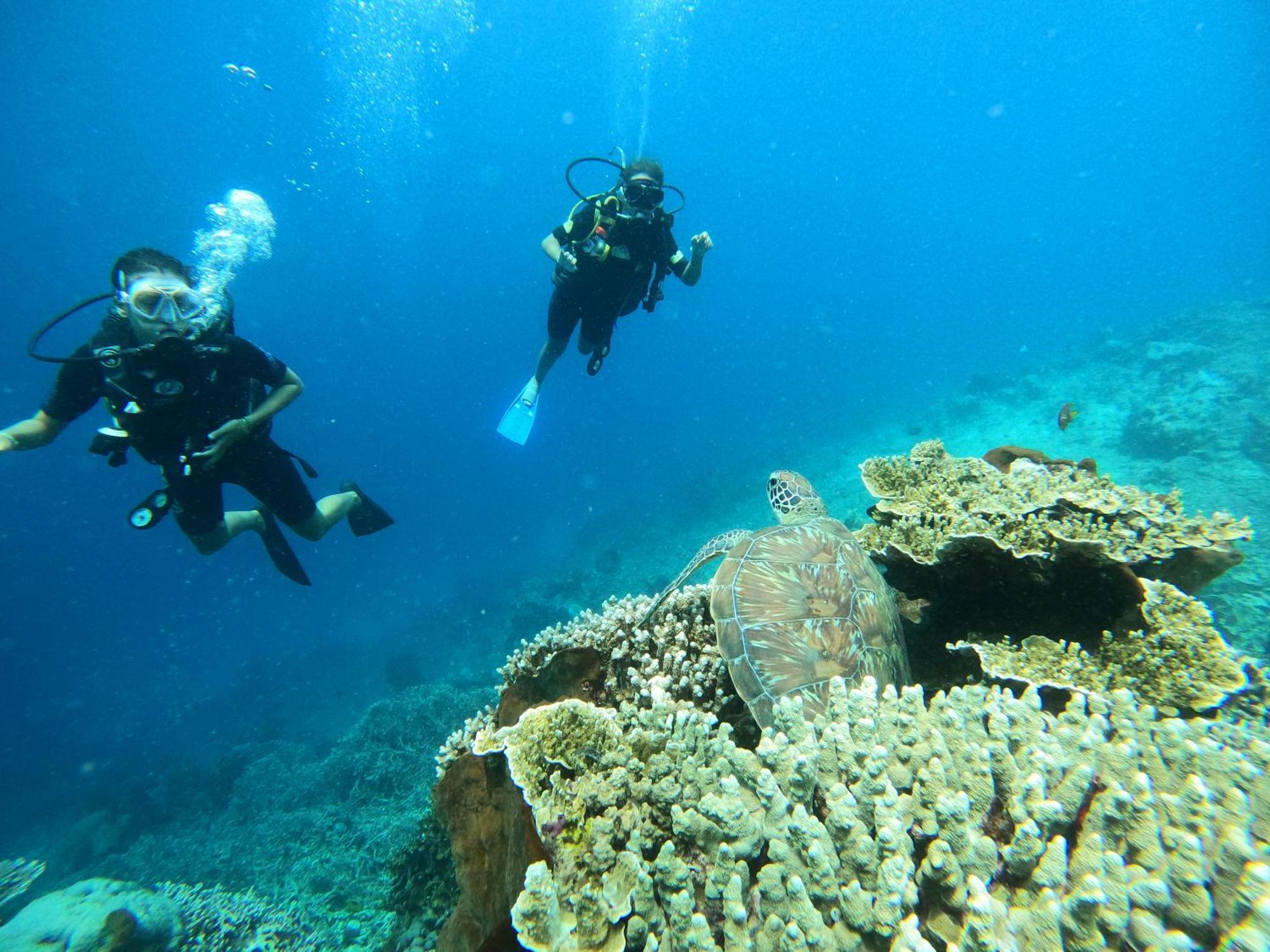 4 Sisters Divers Бунакен Екстер'єр фото