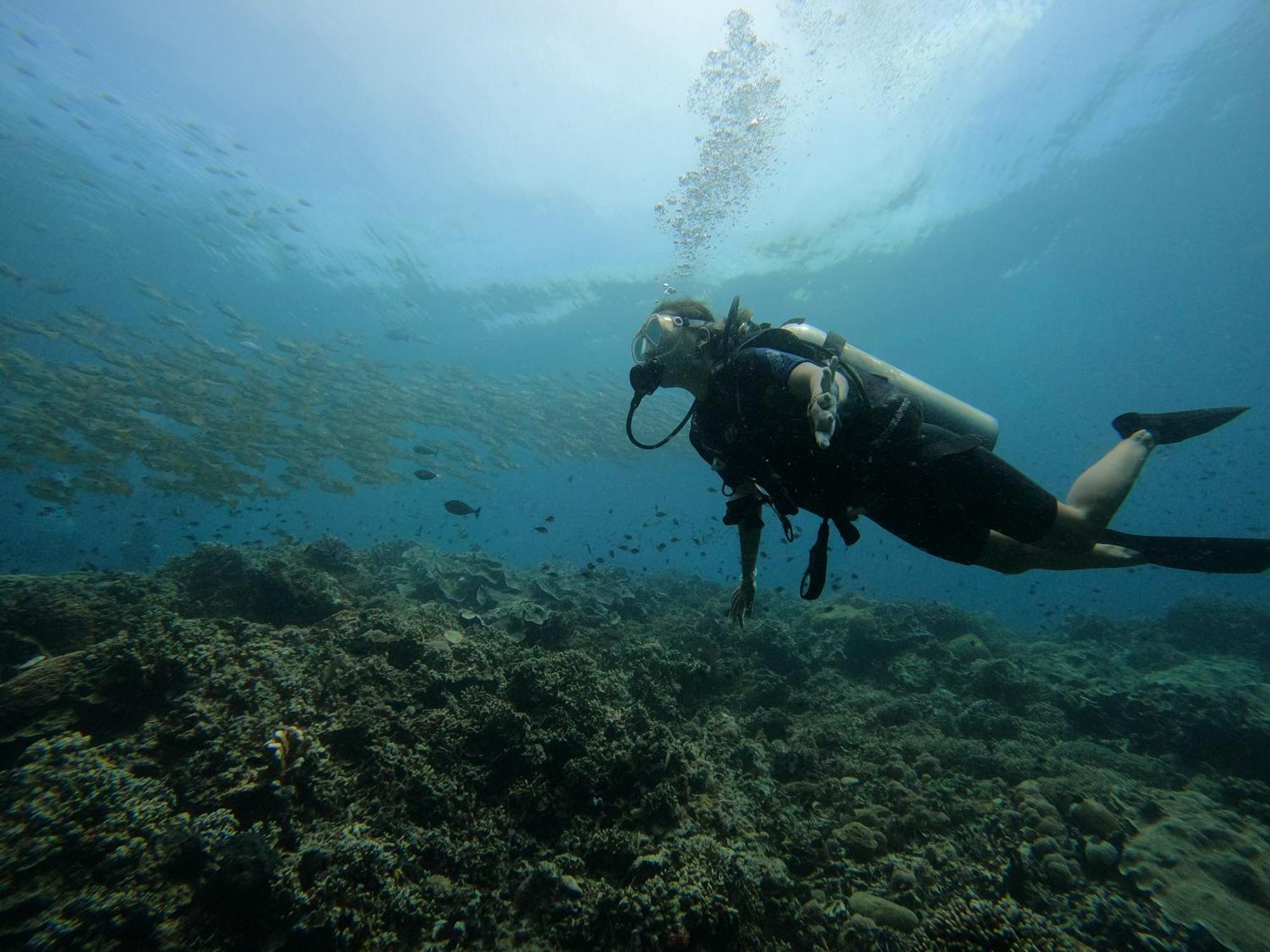 4 Sisters Divers Бунакен Екстер'єр фото