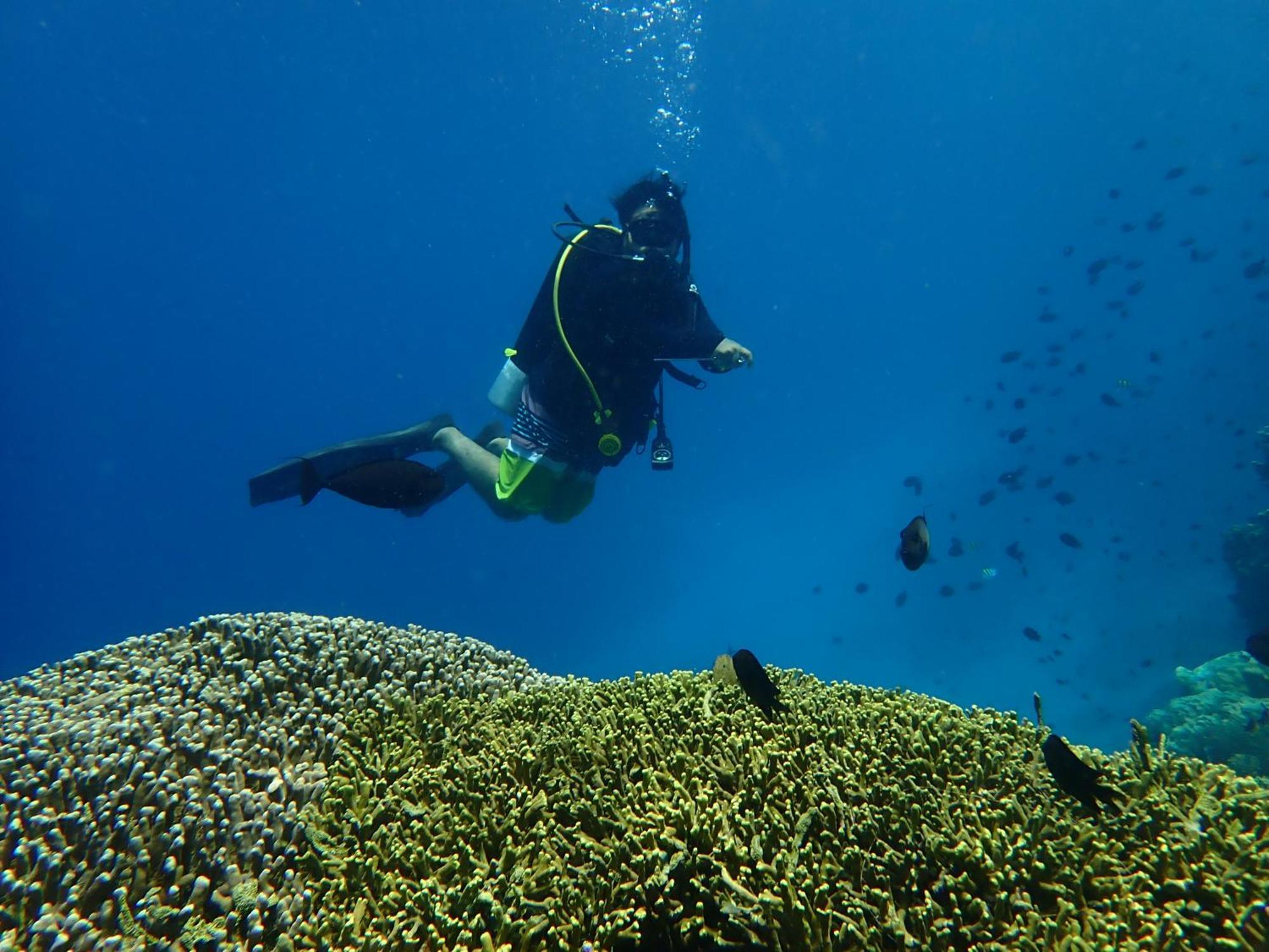 4 Sisters Divers Бунакен Екстер'єр фото